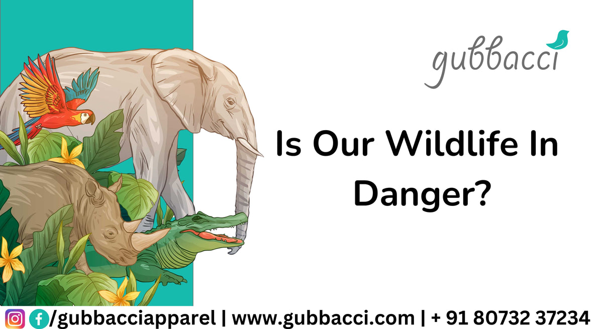 Is Our Wildlife In Danger?